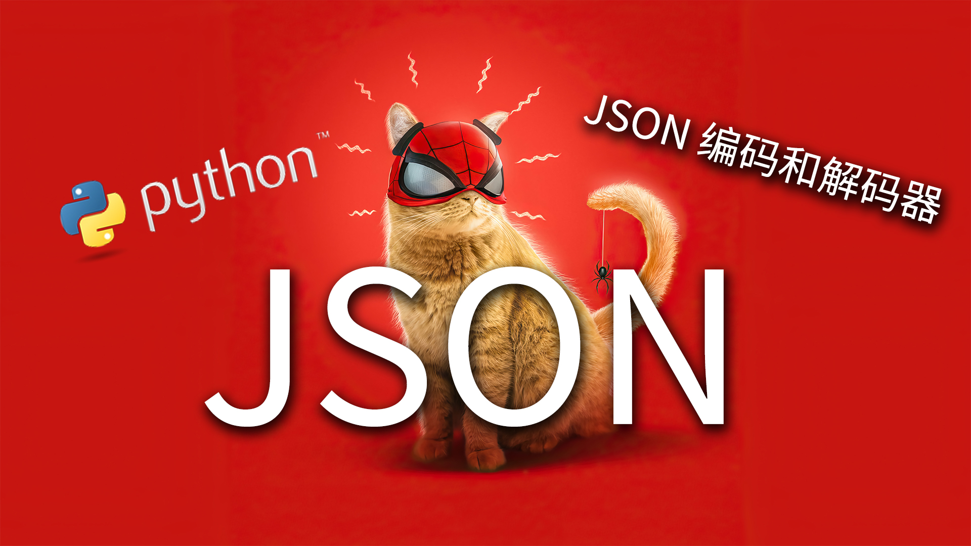 detailed-explanation-of-json-encoder-and-decoder-of-python-standard