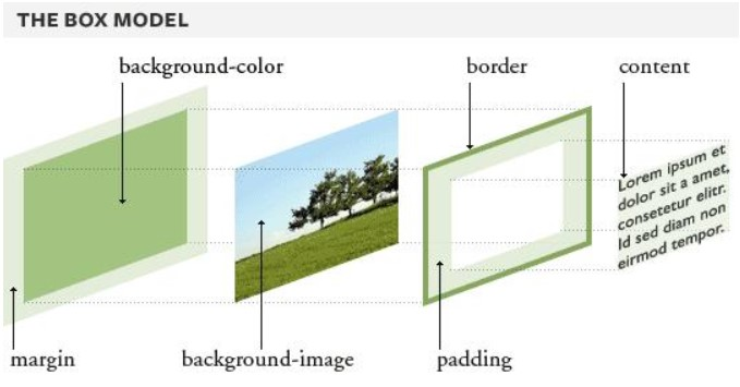 Блочная модель CSS. Разница между margin и padding. Блочная модель html. Margin padding border разница. Content margins